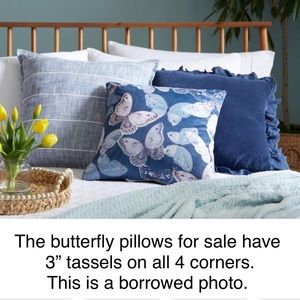 $20 for both.  18x18” butterflies on one side & solid blue on the other side.